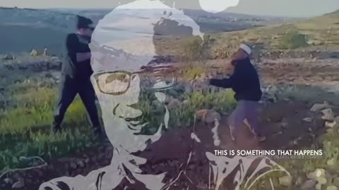 Video Evidence of Zionist Settlers Violating International Law x The Afghan Whigs vs Daniella Weiss