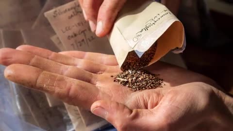 7 SECRET CROPS BIG AGRICULTURE HOPES YOU'LL NEVER GROW