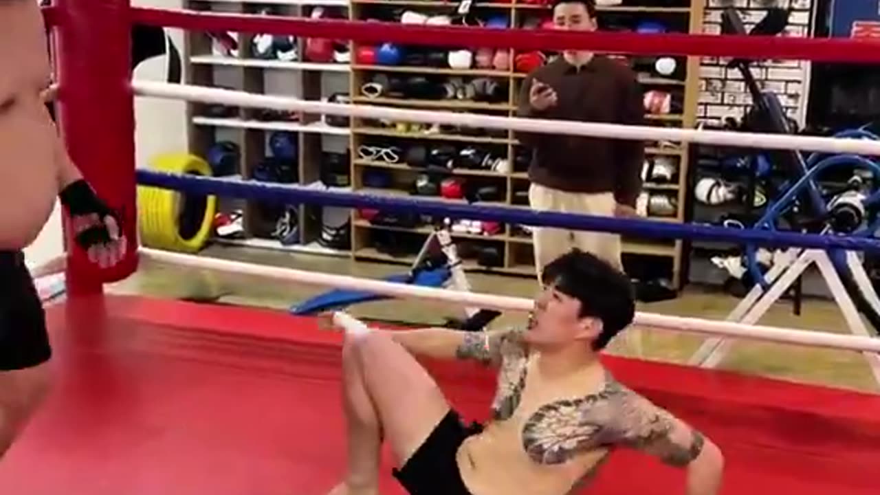 Professional Vs Gangster