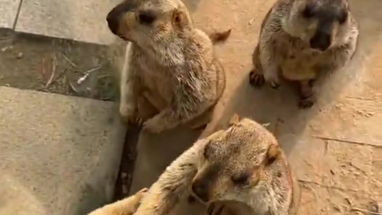 "babe stop this isn't you" 😂ðŸ˜