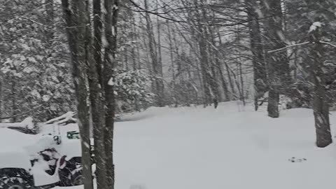 Winter Wonderland At Camp