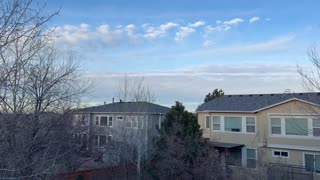 Just hanging out at the upper outdoor