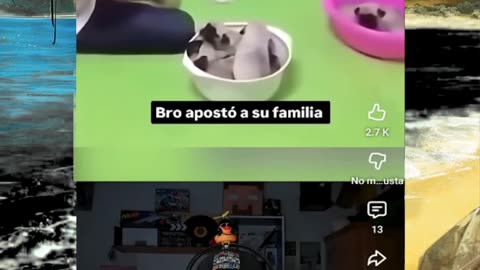 Just shorts videos - Follow 😜😋!!!!!!!