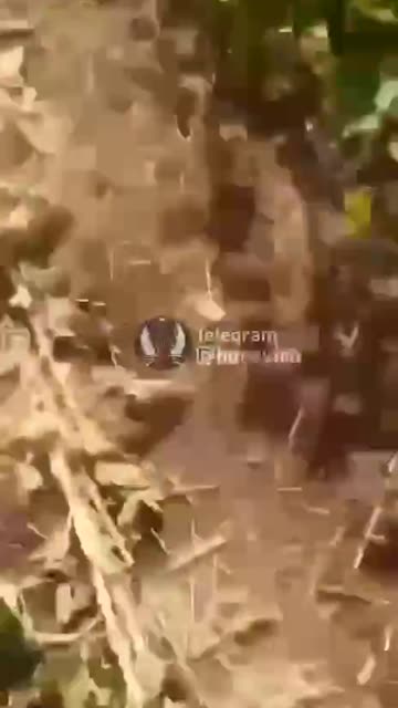 Ukraine war combat/related footage 2/2/26