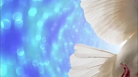 Prayer for freedom