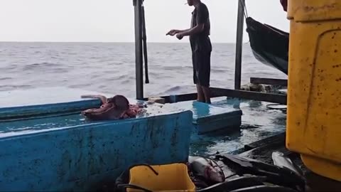 Deep Sea Fishing Adventure While Enjoying Breathtaking Ocean Views