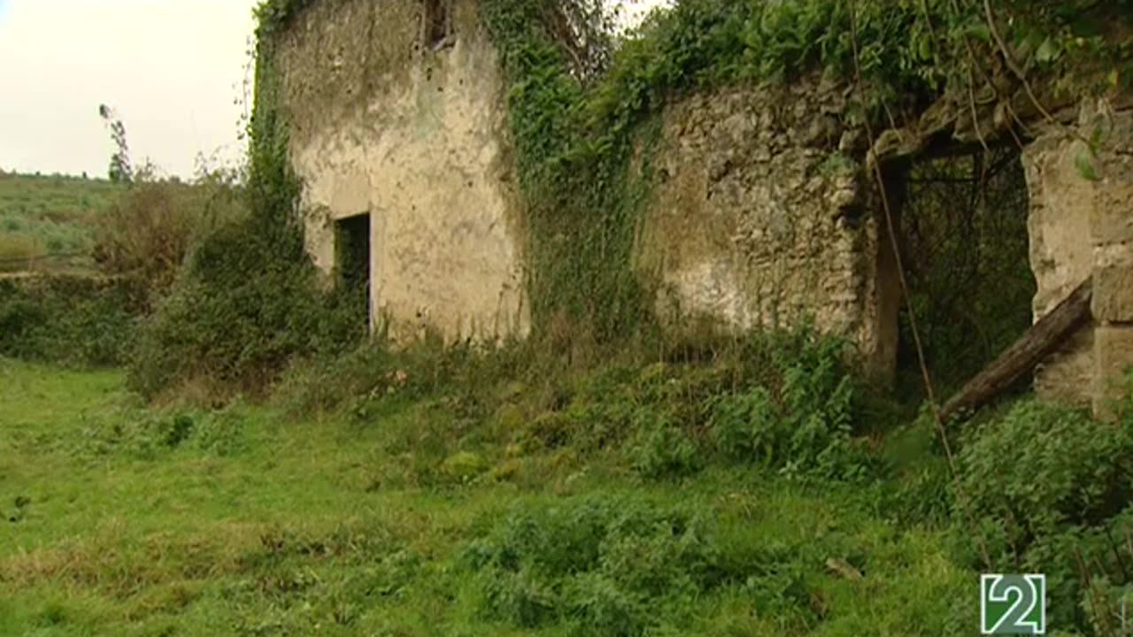 La memoria recobrada - Los del monte