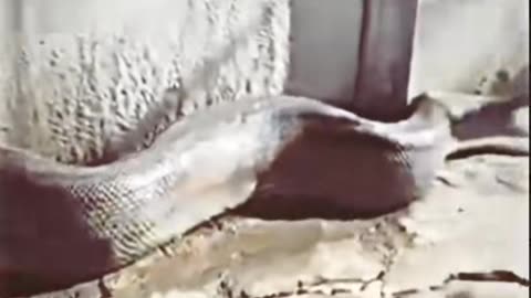 😱👻 The Scariest Alien Encounter Ever! | TheHauntingHour