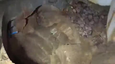 😮✨ Hidden Abandoned House Discovered in a Cave! | FeedMyCuriosity