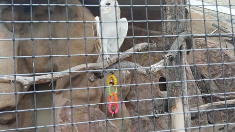 Cheyenne Mountain Zoo Part 30