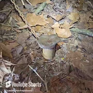 Tips and Tricks on the Trapline