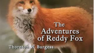 ♡ Audiobook ♡ The Adventures of Reddy Fox by Thornton W. Burgess ♡ A Classic Children's Story