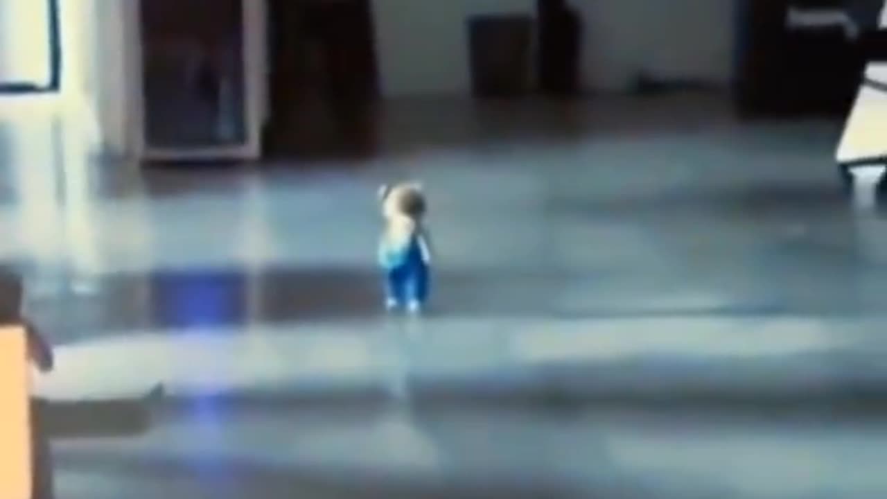 🕷️👻 Unbelievable Paranormal Activity Caught on Camera! | TheHauntingHour