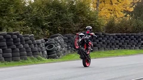 2022 KTM 390 DUKE WHEELIE TIME #shorts