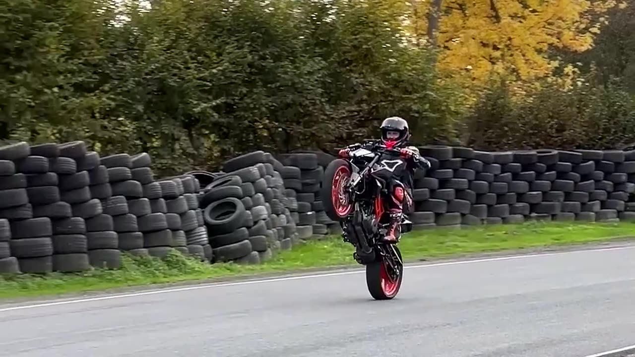 2022 KTM 390 DUKE WHEELIE TIME #shorts