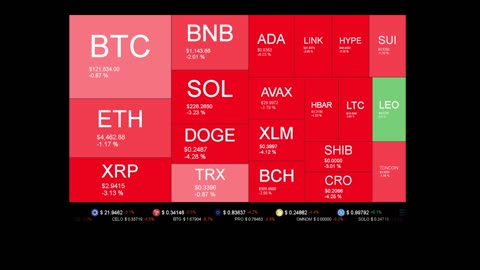 Live Coin Price Watch!