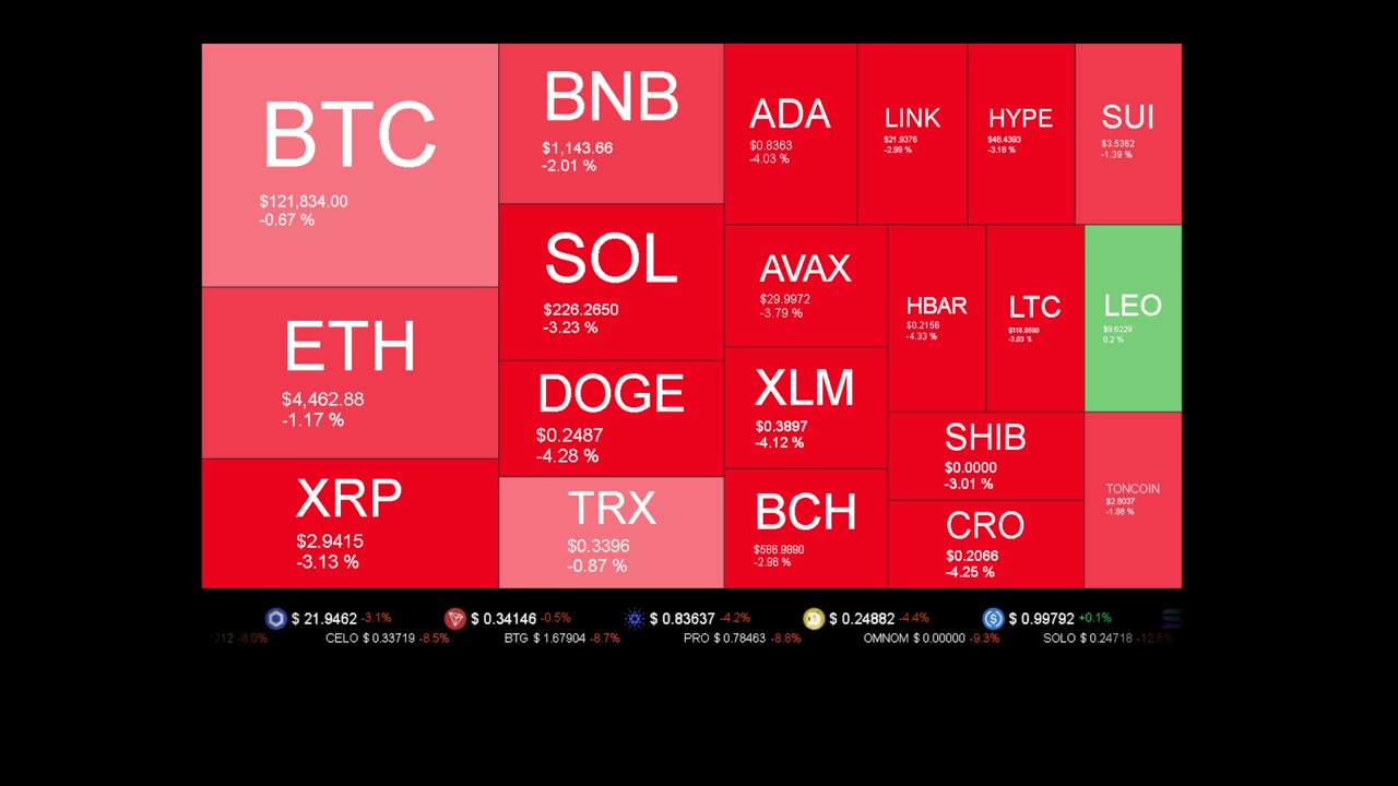 Live Coin Price Watch!