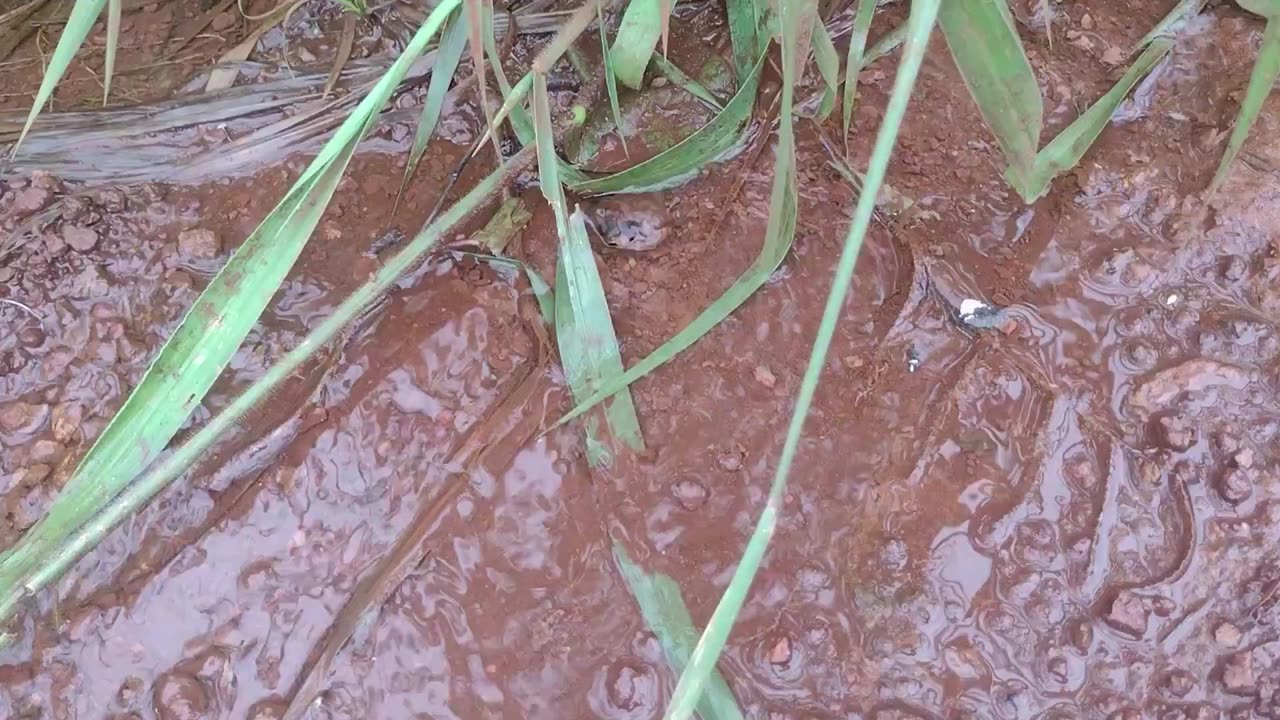 Água nascendo na estrada