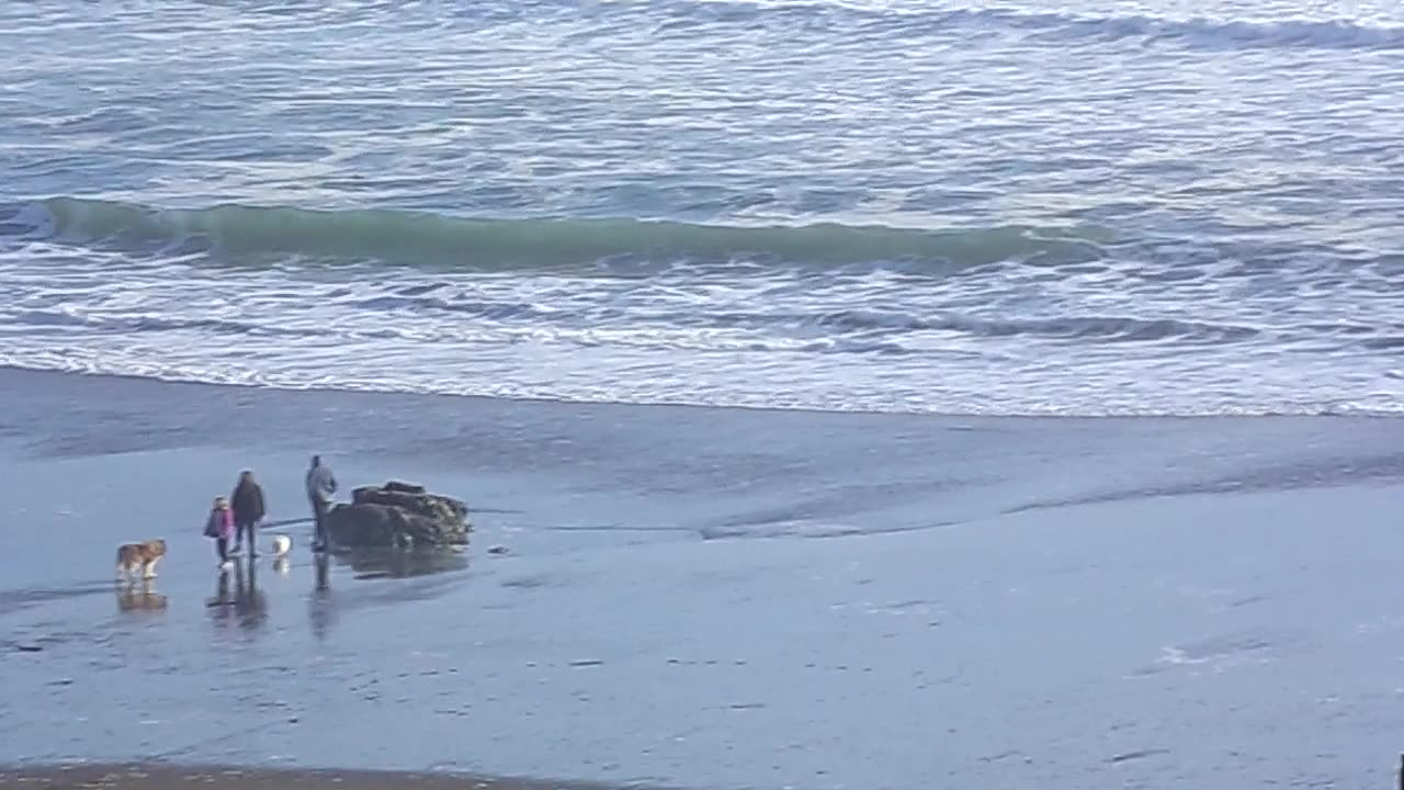 A nice winter day at the beach 2/25/25: