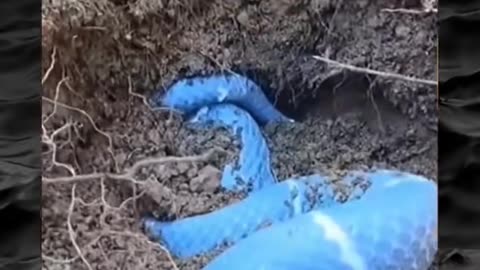 😱👻 Disturbing Paranormal Activity Caught on Tape! | TheHauntingHour