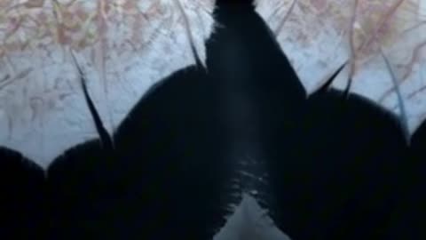 There’s a moon with more water than Earth