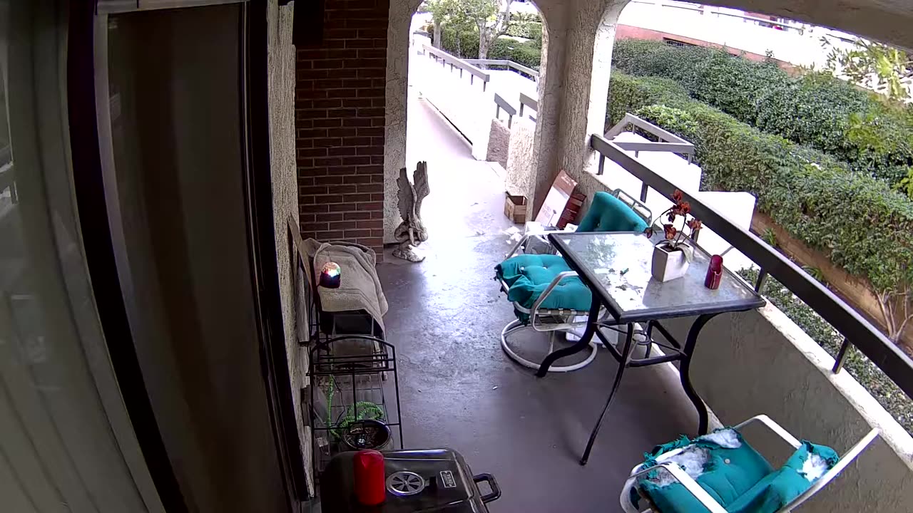 1/22/2019 Dinse -impersonated FBI - stalking group tried to bait me into harassment at park restroom