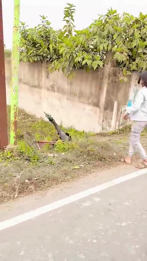 skating road cycle girl-