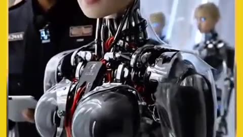 Human reborts