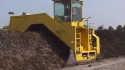 13 Science Lies You Still Believe