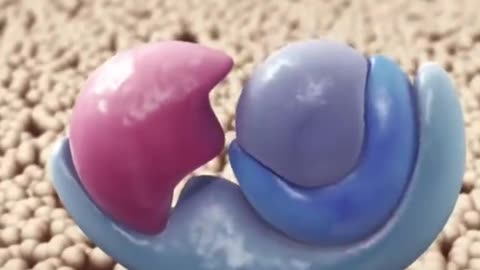 What Happens In Coronary Artery Diseases