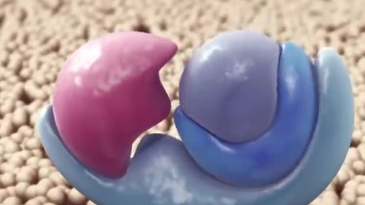 What Happens In Coronary Artery Diseases