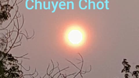 đò chiều chuyến chót ( hội long hoa )