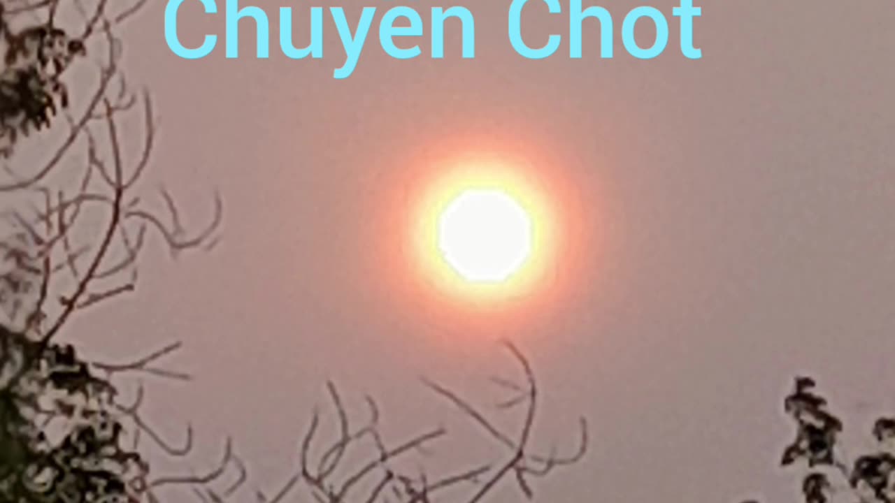 đò chiều chuyến chót ( hội long hoa )