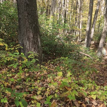 I am: Going on an Adventure