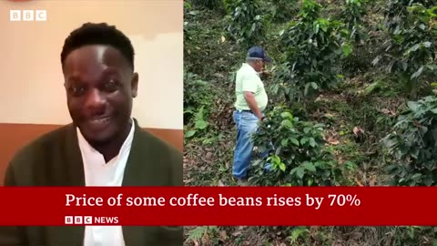 Why is the price of coffee rising so much?