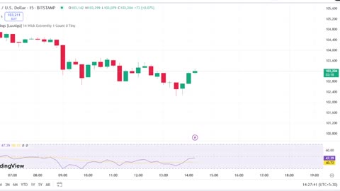 CRYPTO MARKET UPDATE 👀💥