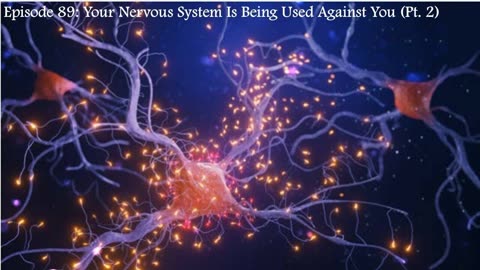 Episode 89: Your Nervous System Is being Used Against You (Pt. 2)