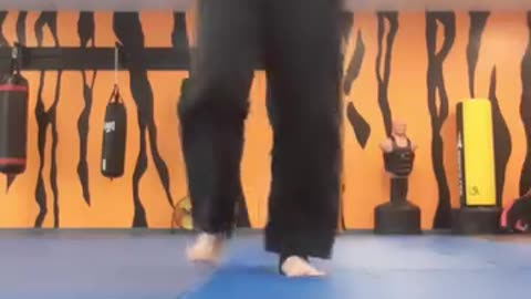 Tong Hap Kwan Hoshinsul Kicking Techniques