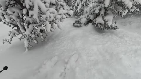 Off-Piste Skiing in Courchevel, France