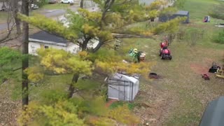 Tree Felling in Tight Spaces #short