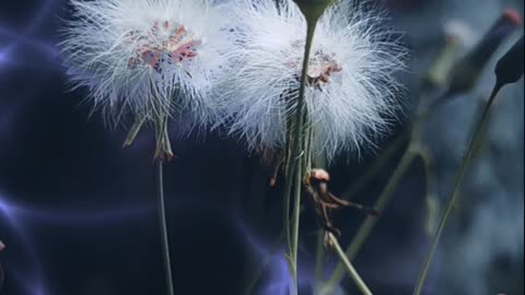 🔥 Surah Al-Furqān 25:33-34 - سورة الفرقان ⚡⏳🔥 #Quran #shorts #viral #trending #love #youtubeshorts