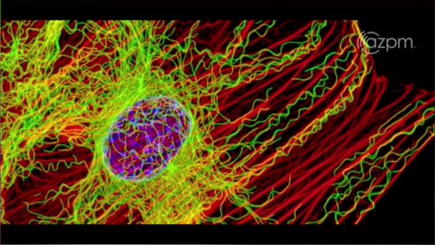 Plants are Conscious! #shorts