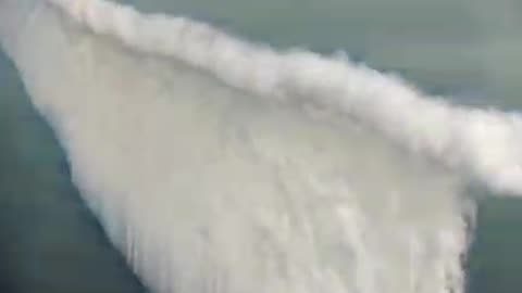 THE ANTARTIC ICE WALL CAGE