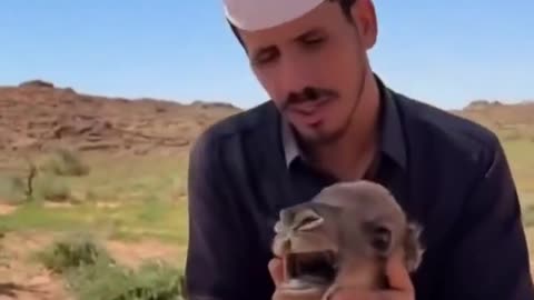 calming down bro after buying fomo silver at $123 and now it’s $88