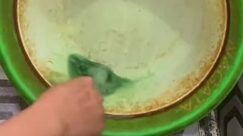 Satisfying cleaning video