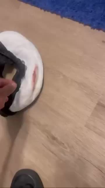 LIONEL EXPOSES CECE DIRTY DRAWS !!