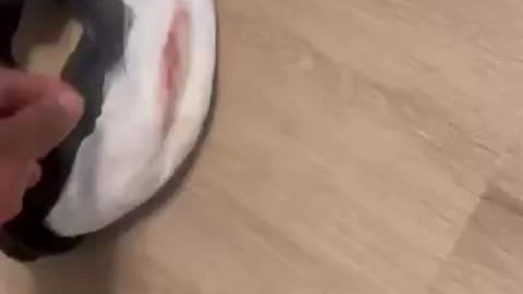 LIONEL EXPOSES CECE DIRTY DRAWS !!