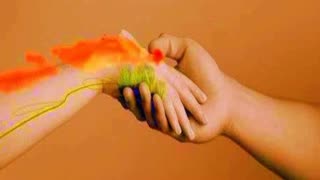 Seduction Enhancement +11x