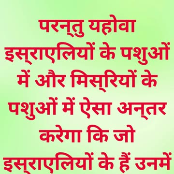 "मिस्र के पशुओं पर यहोवा का प्रकोप" निर्गमन 9:3,4. #shorts #shortvideo #youtubeshorts #ytshorts #yt