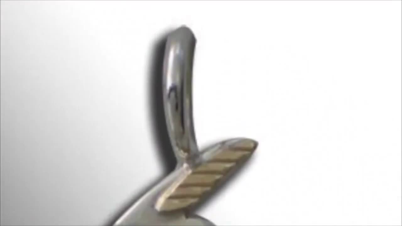 Dr. Rami Labow covid 19 & squalene vaccine sterilization